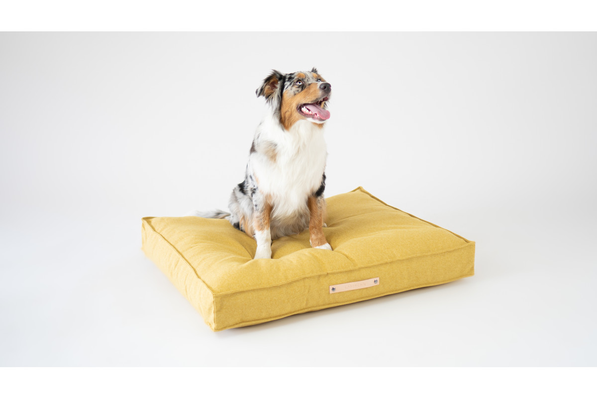 Labbvenn Movik Dog Cushion Biscuit