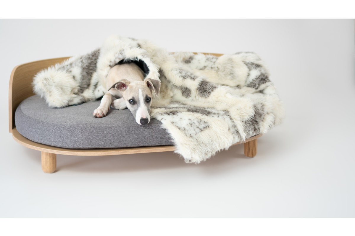 Labbvenn Loue Dog Sofa