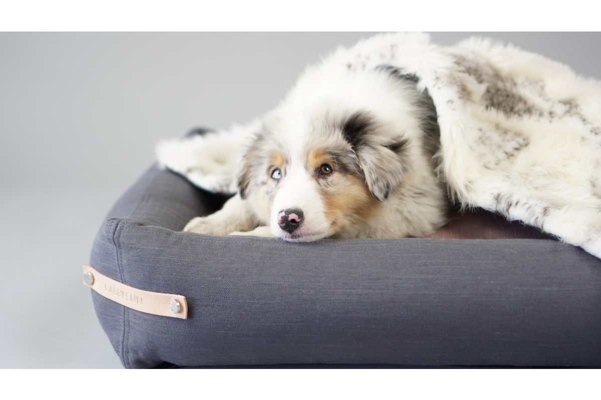 Labbvenn Stokke Hundebett Schwarz