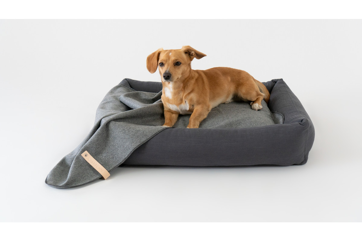 Labbvenn Åsnen Dog Blanket Brown