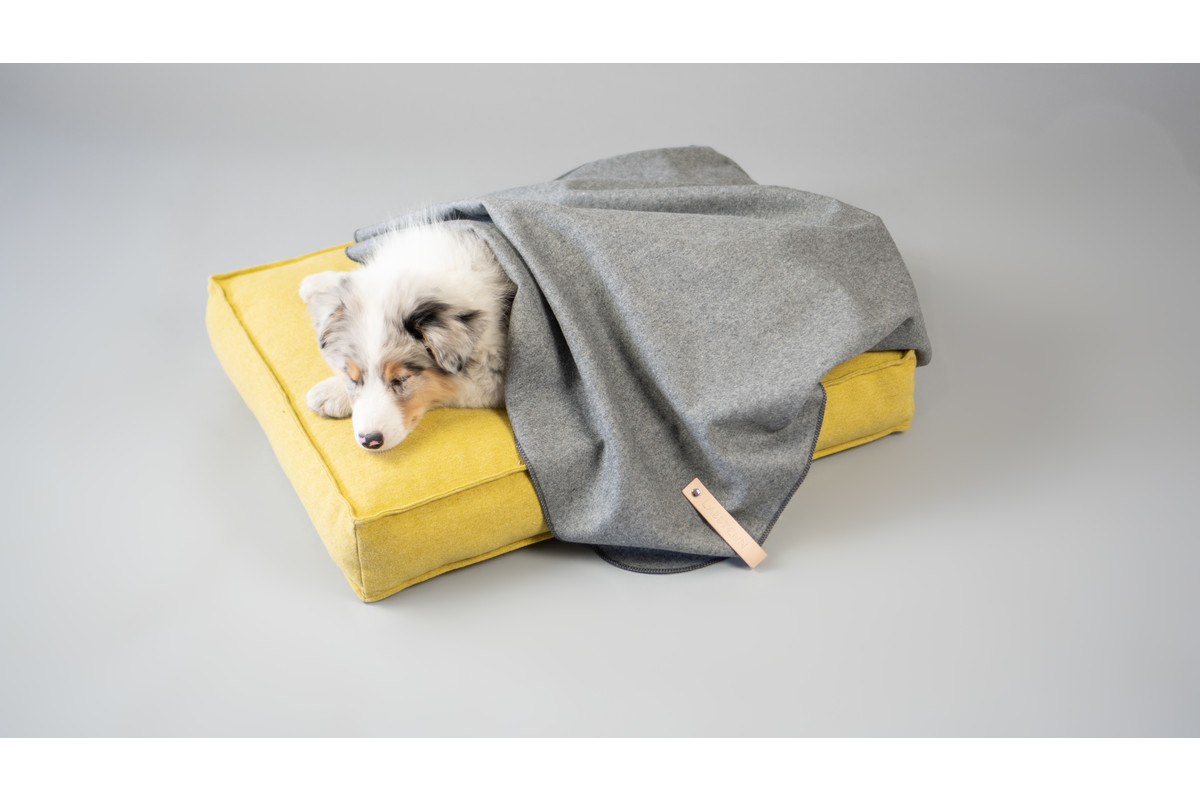 Labbvenn Åsnen Dog Blanket Brown