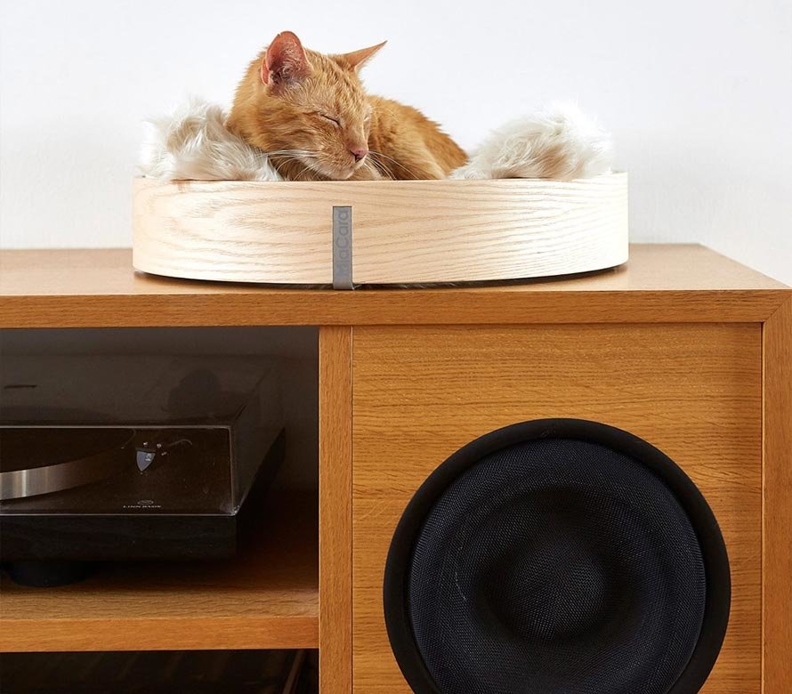 The ultimate cat treat is a luxurious cat bed  Online pet shop The Pet  Empire - The Pet Empire