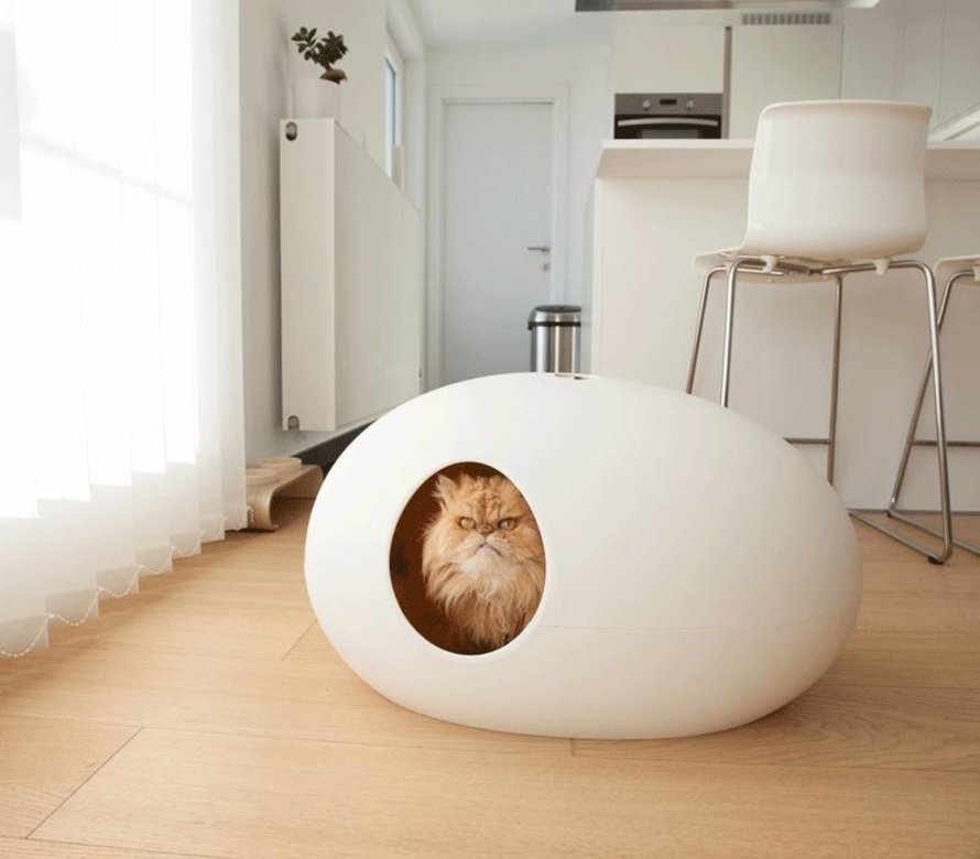 The ultimate cat treat is a luxurious cat bed  Online pet shop The Pet  Empire - The Pet Empire