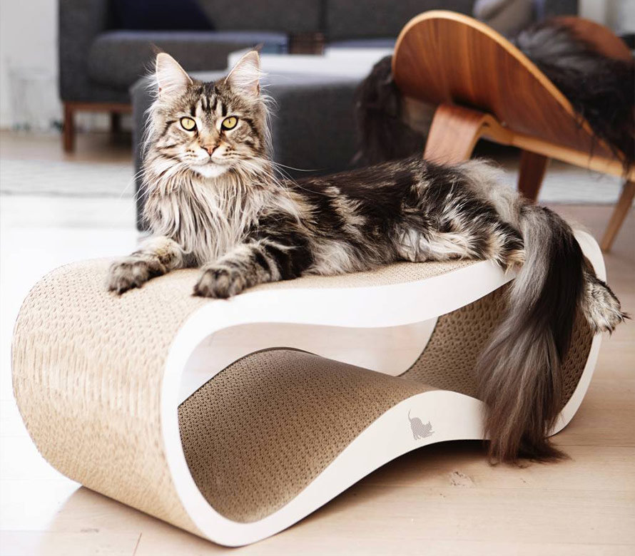 The ultimate cat treat is a luxurious cat bed  Online pet shop The Pet  Empire - The Pet Empire