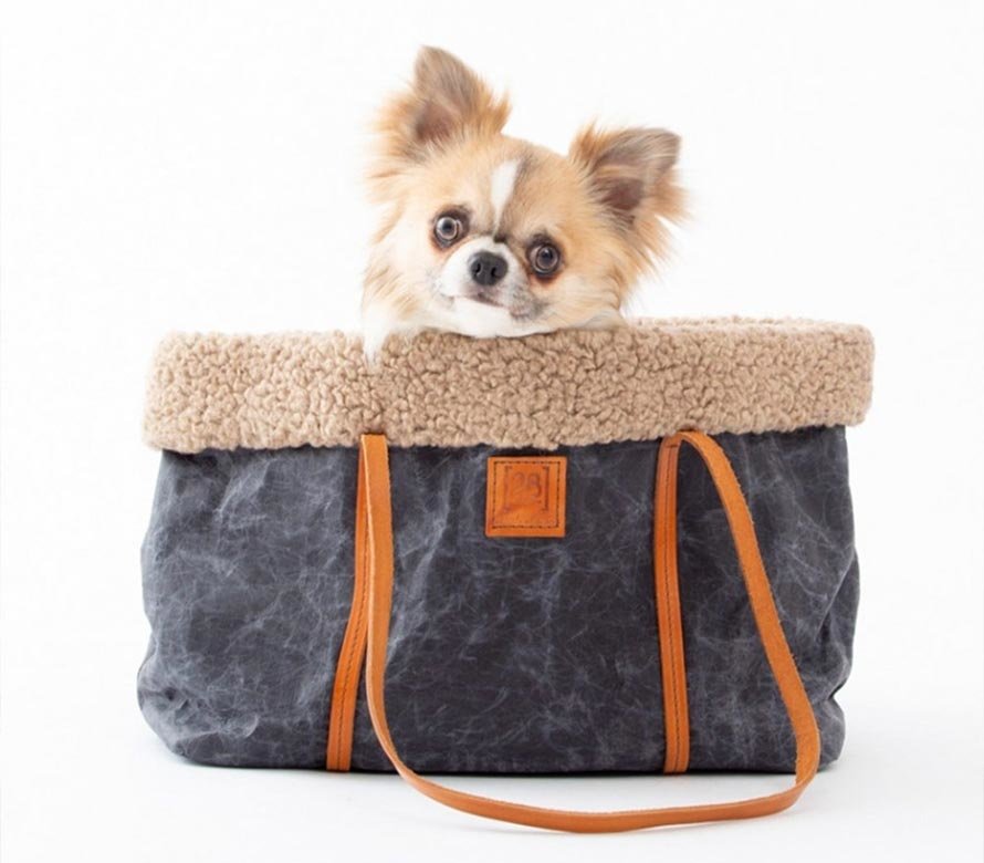 2.8 Design für Hunde