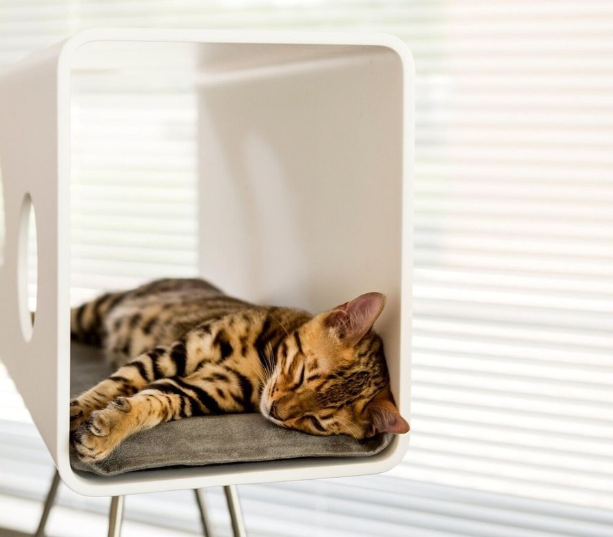 The ultimate cat treat is a luxurious cat bed  Online pet shop The Pet  Empire - The Pet Empire