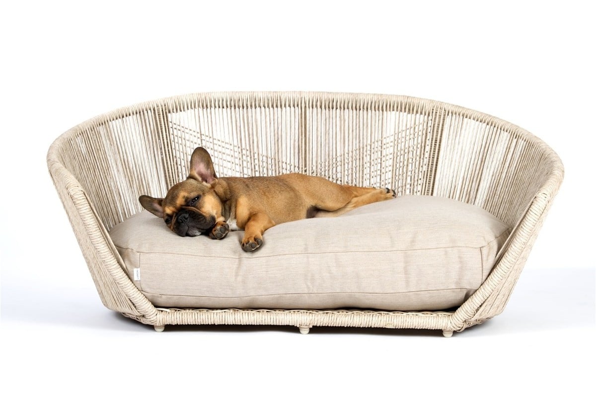 Pawtton Love Designer Luxury Dog Bed