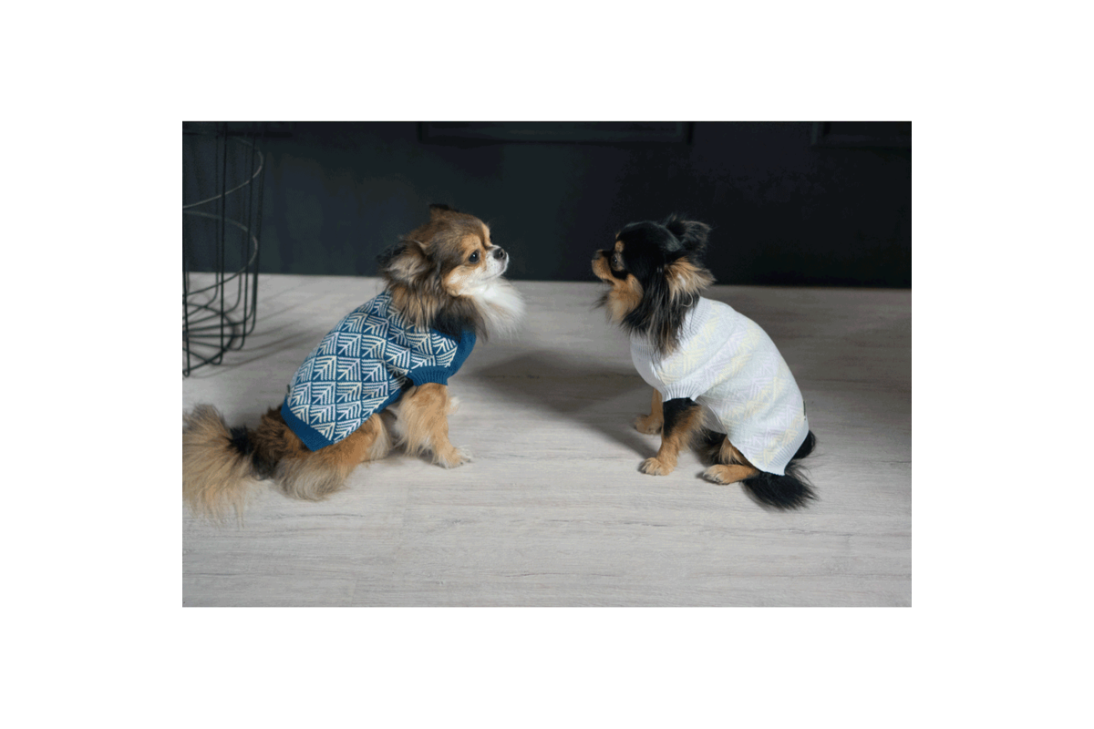 Labbvenn Pullo dogsweater blue