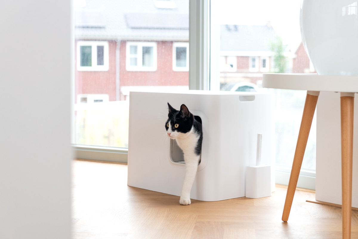 Hoopo® Dome Katzenklo Weiß