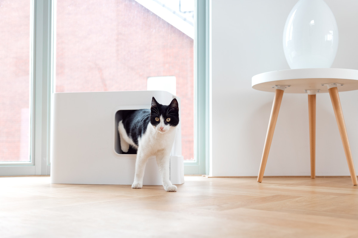Hoopo® Dome Cat Litter Box White The Pet Empire