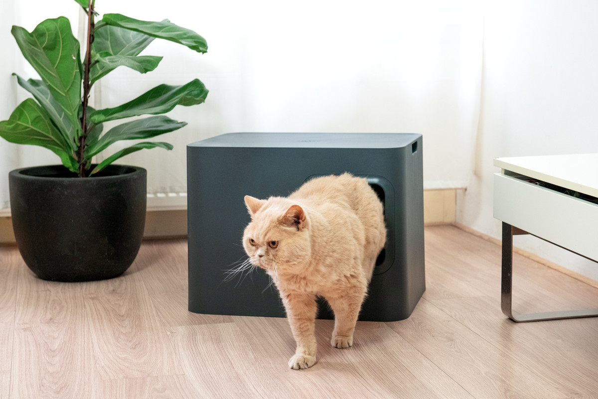 Hoopo® Dome Cat Litter Box Grey