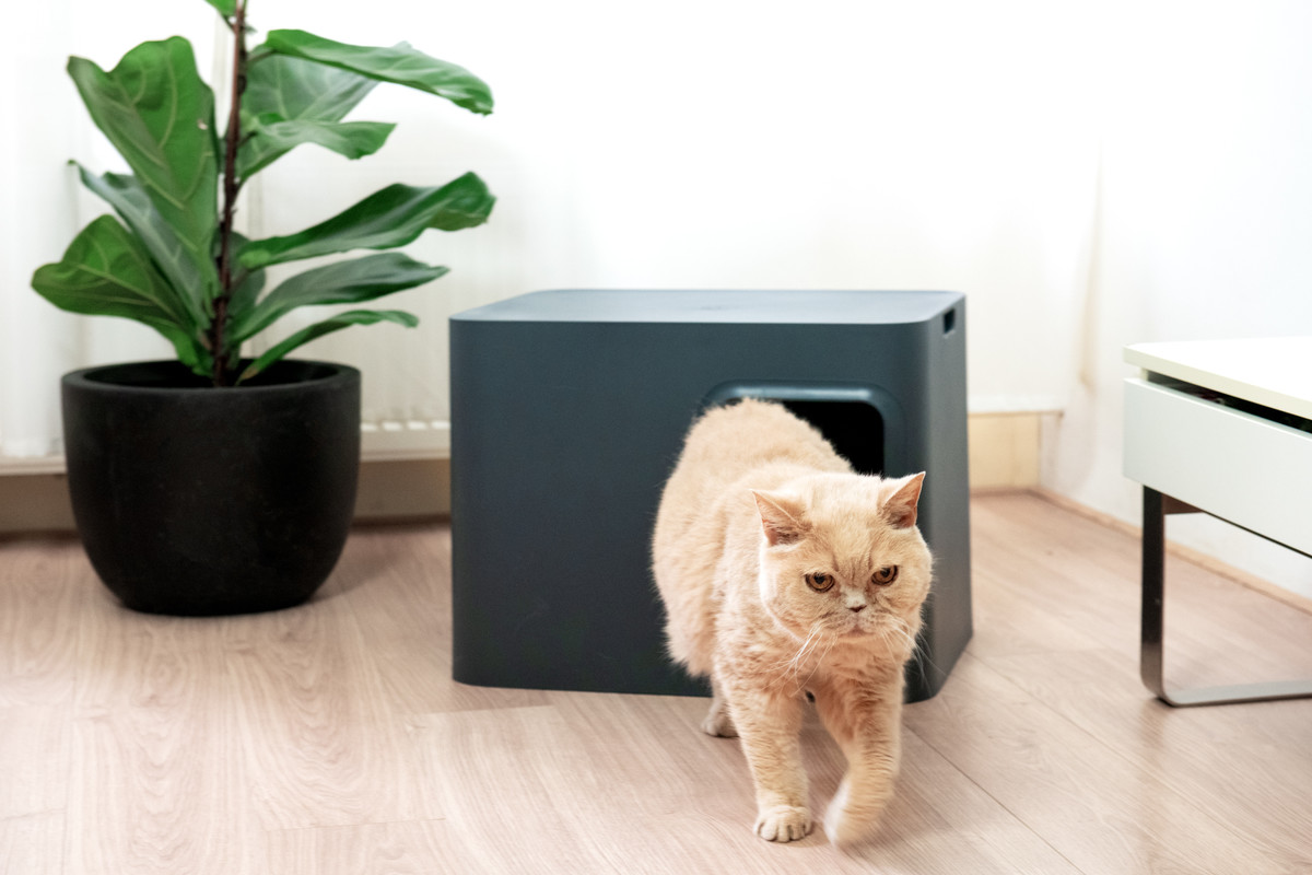 Hoopo® Dome Kattenbak Grijs