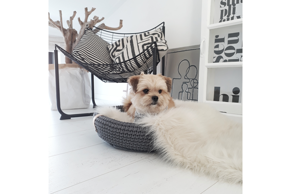 Labbvenn Coco dog bed brown