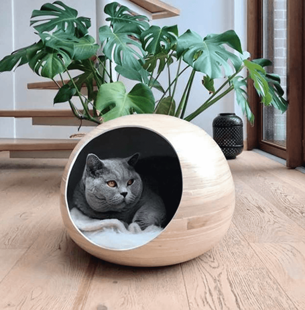 barsten Armstrong opzettelijk Dandy Cat Kattenhuis kopen | Design Kattenmanden online - The Pet Empire
