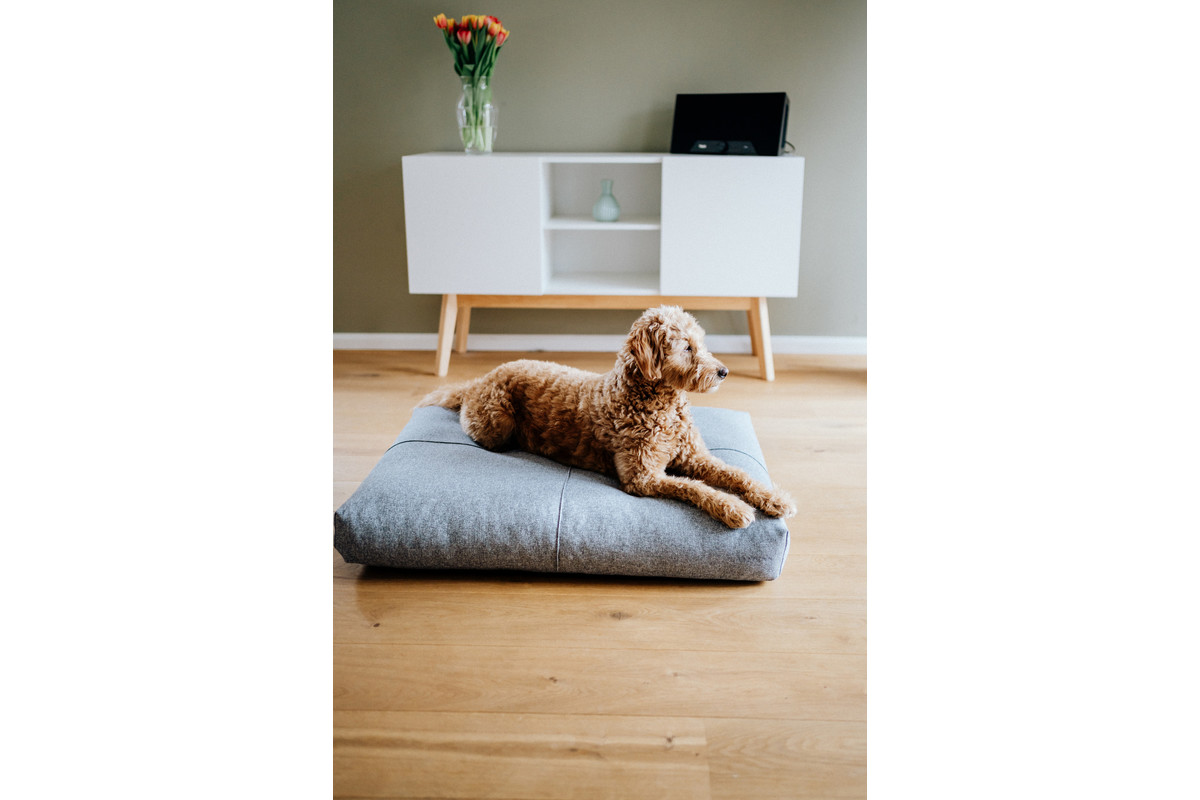 Labbvenn Finno dogcushion Beige