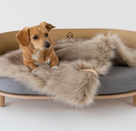 Why a Good Dog Bed is important