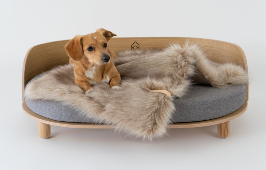 Why a Good Dog Bed is important