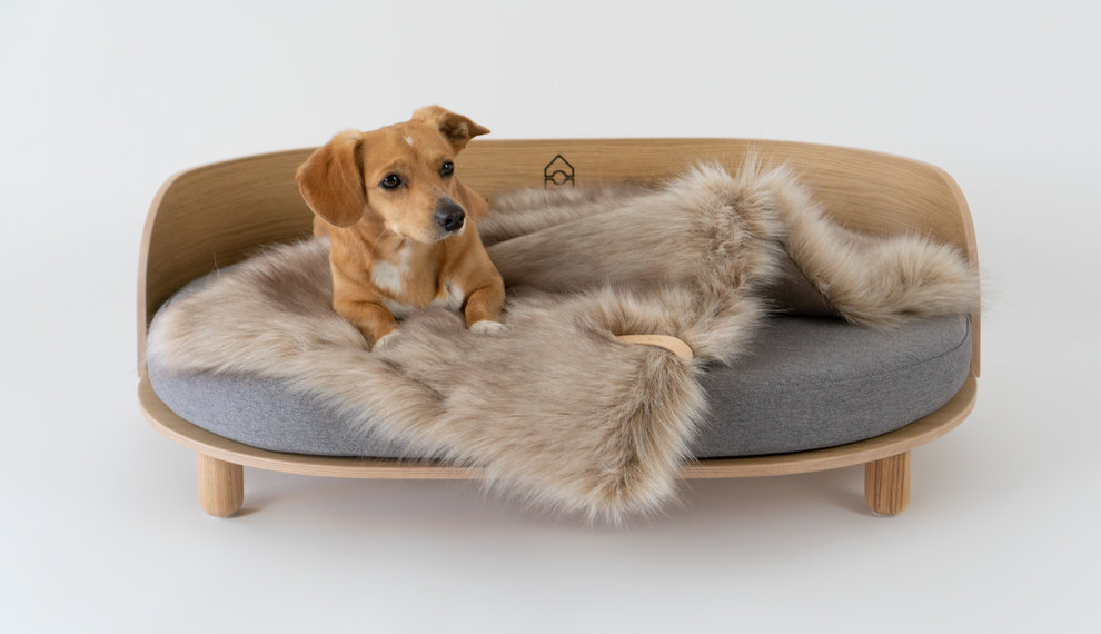 Online pet store: looking for luxury/design for your dog or cat