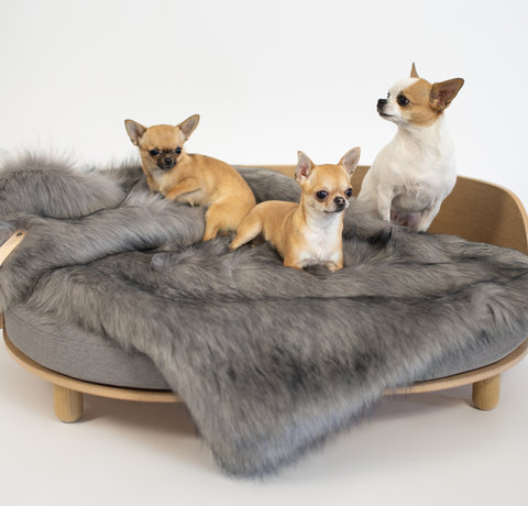 Warum ein gutes Hundebett wichtig ist