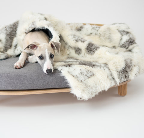 Waarom een goed hondenbed belangrijk is
