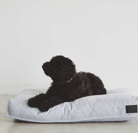 How to find the best dog cushion?