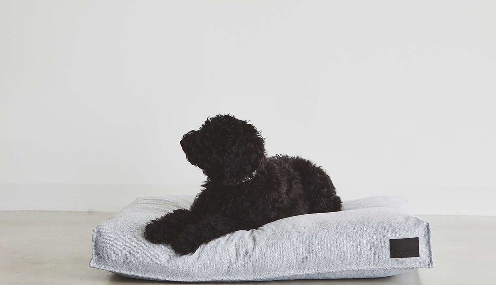 How to find the best dog cushion?