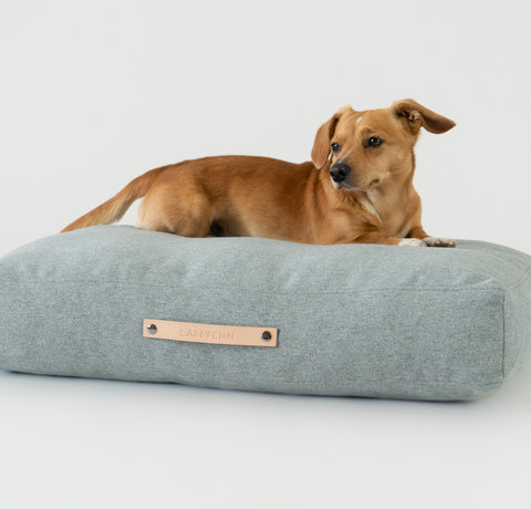 Home Cleaning Products For Your Pet