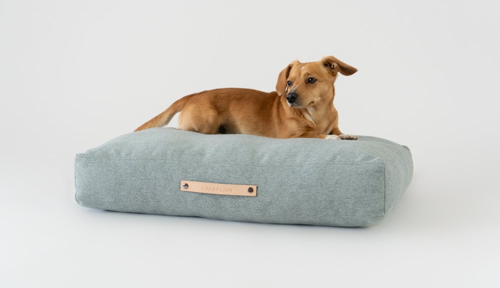 Online pet store: looking for luxury/design for your dog or cat? - The Pet  Empire