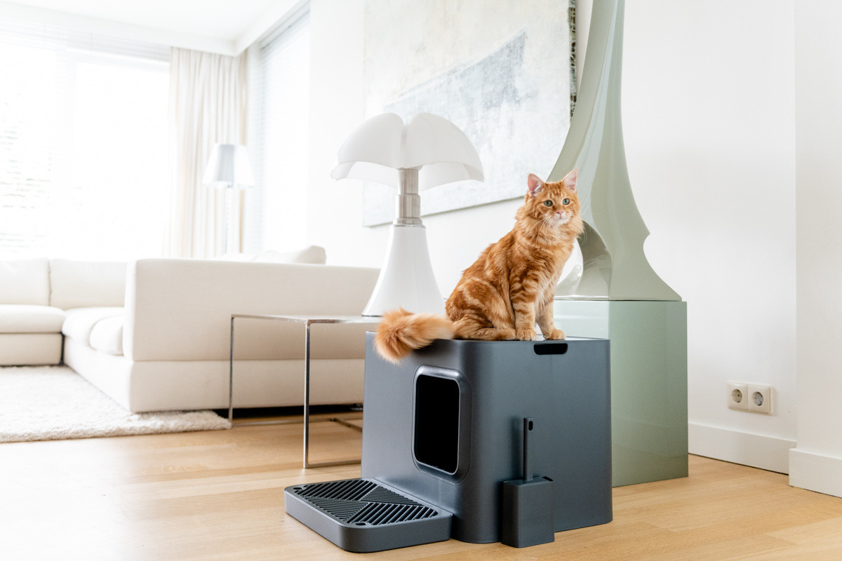 Hoopo® Dome Plus Kattenbak Grijs