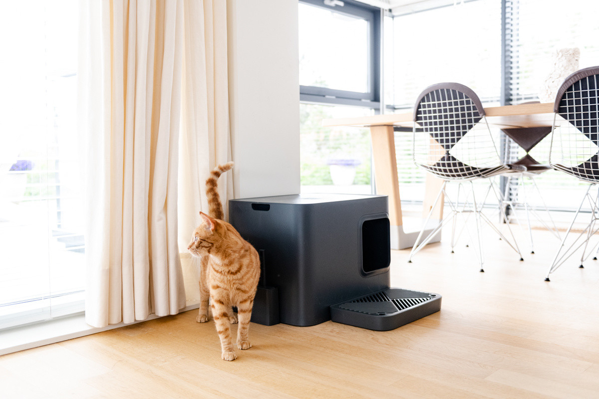 Hoopo® Dome Plus Kattenbak Grijs