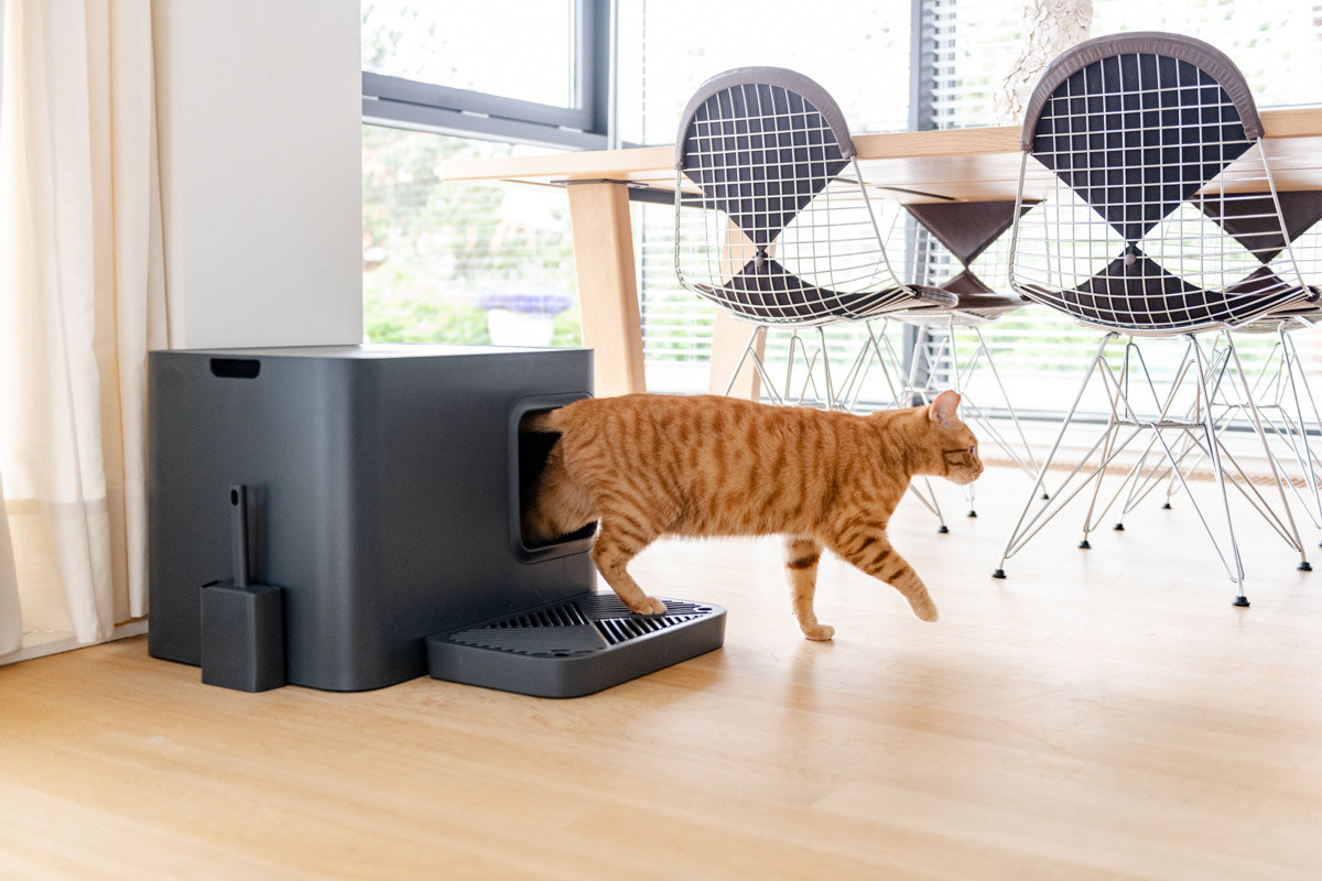 Hoopo® Dome Plus Kattenbak Grijs