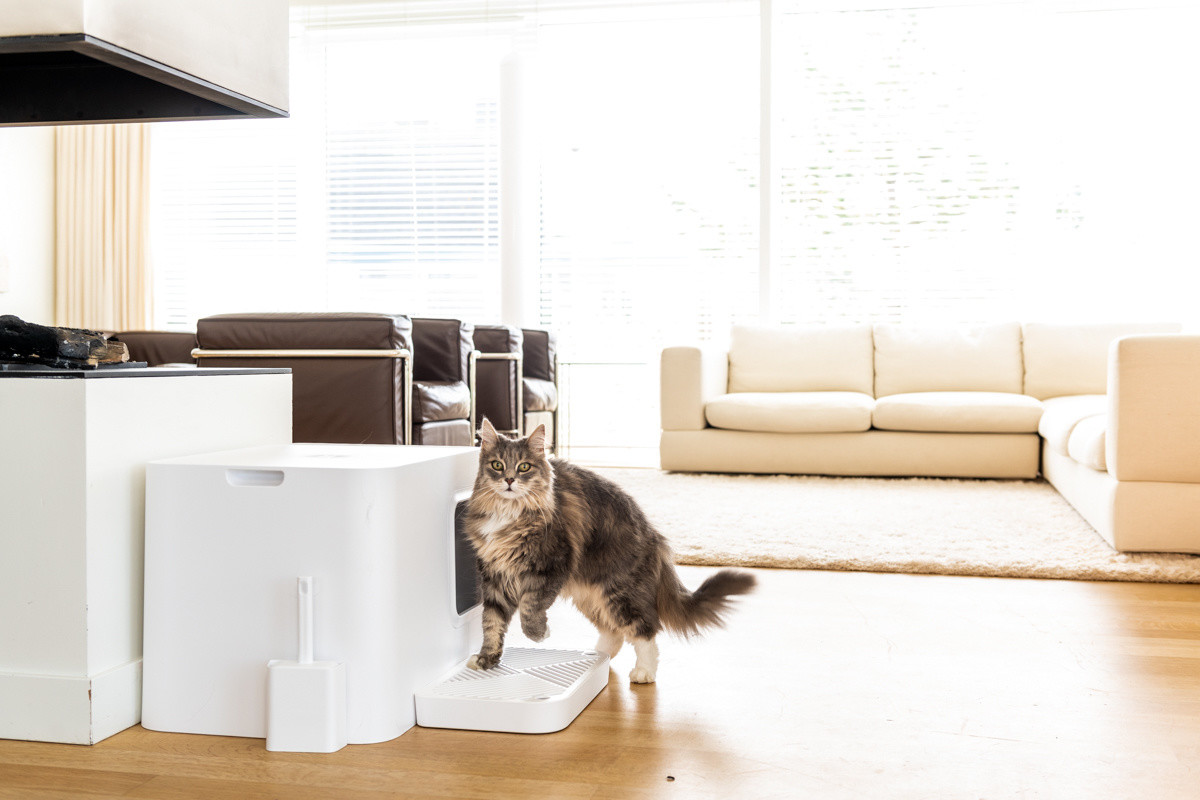 Hoopo® Dome Plus Kattenbak Wit