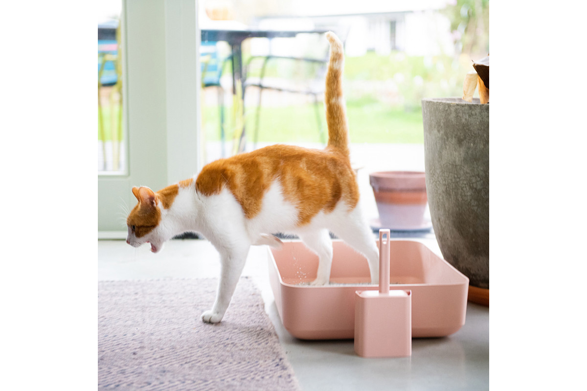 Poh Cat Litter Box - The Pet Empire