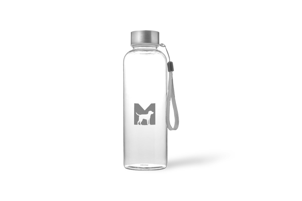 Cane Bottiglia, Water Bottle, Transparent
