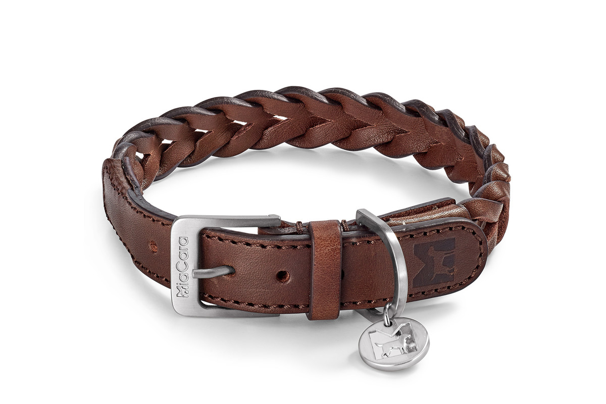 Cane Bergamo, Hondenhalsband, Bruin