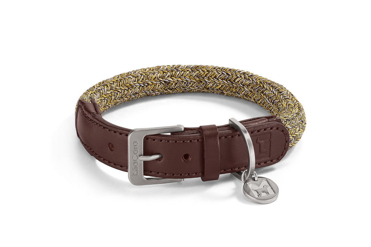 Designer puppy collars Online puppy supplies shop The Pet Empire The Pet Empire