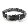 Cane Lucca, Dog Collar, Ferro/Black