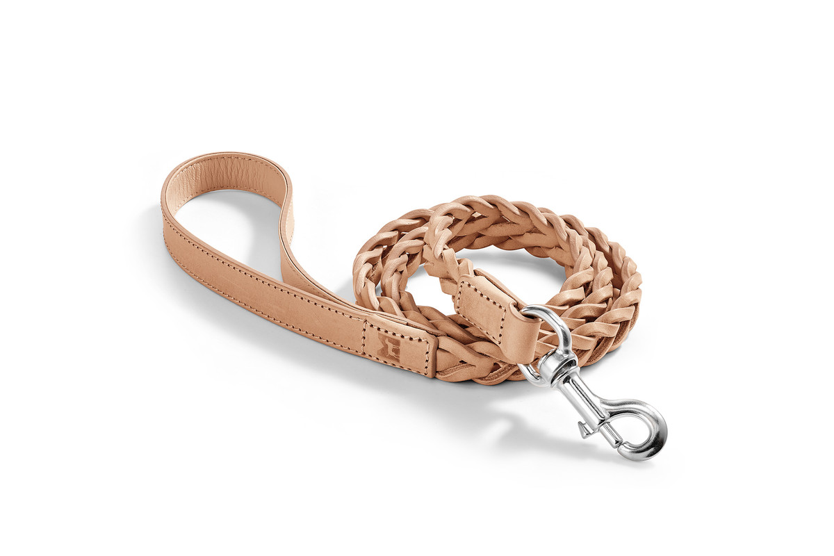 Luxus-Hundehalsband kaufen  Designer Hundehalsband online - The Pet Empire