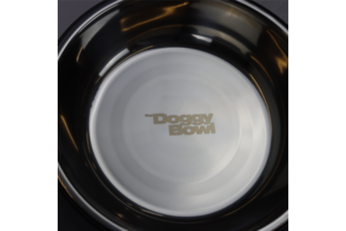 The DoggyBowl Steel