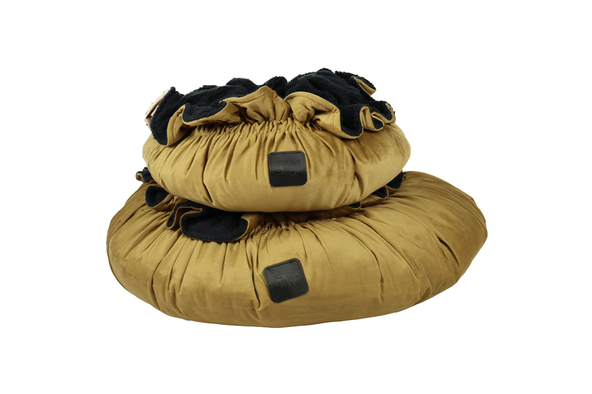 Cozy Camel S