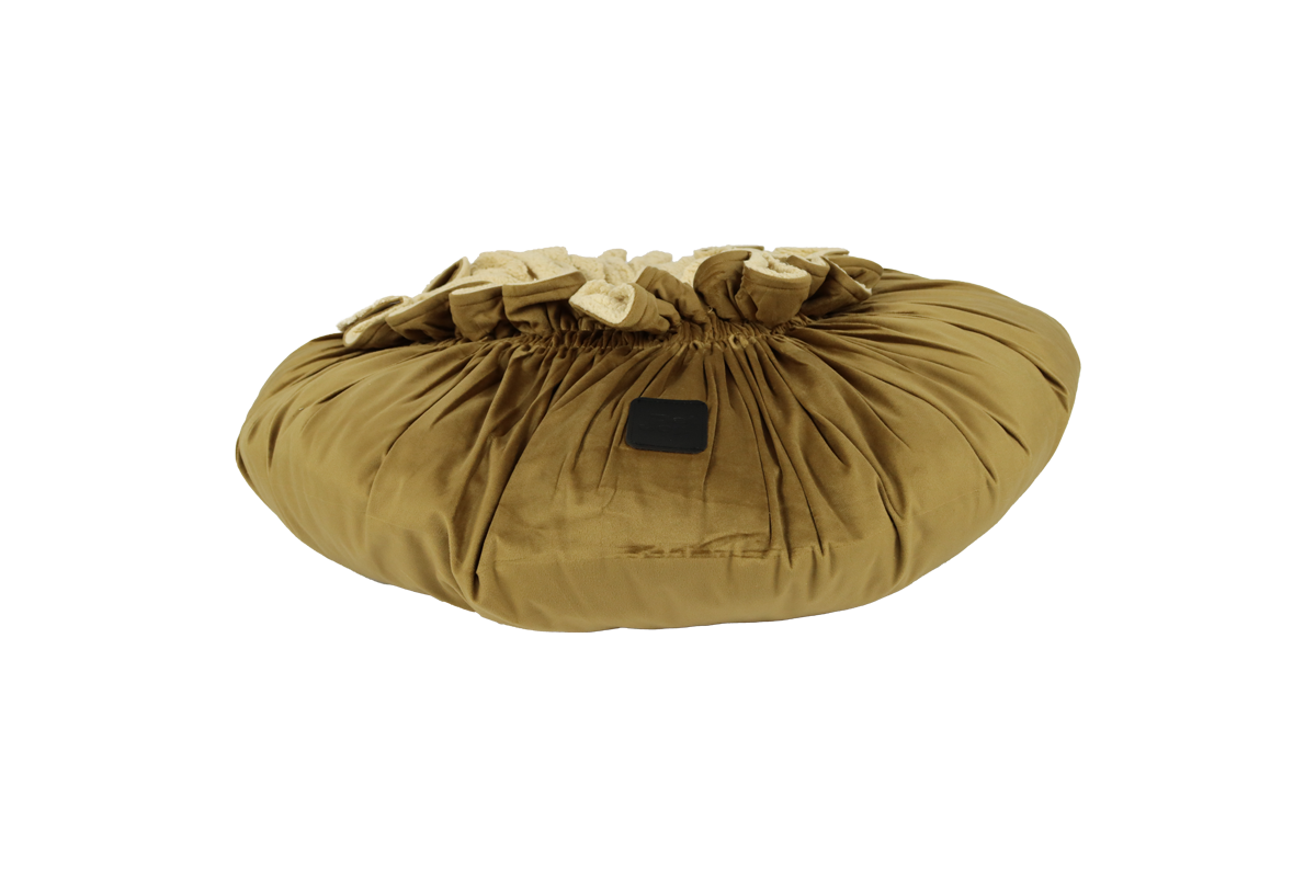 Cozy Camel S