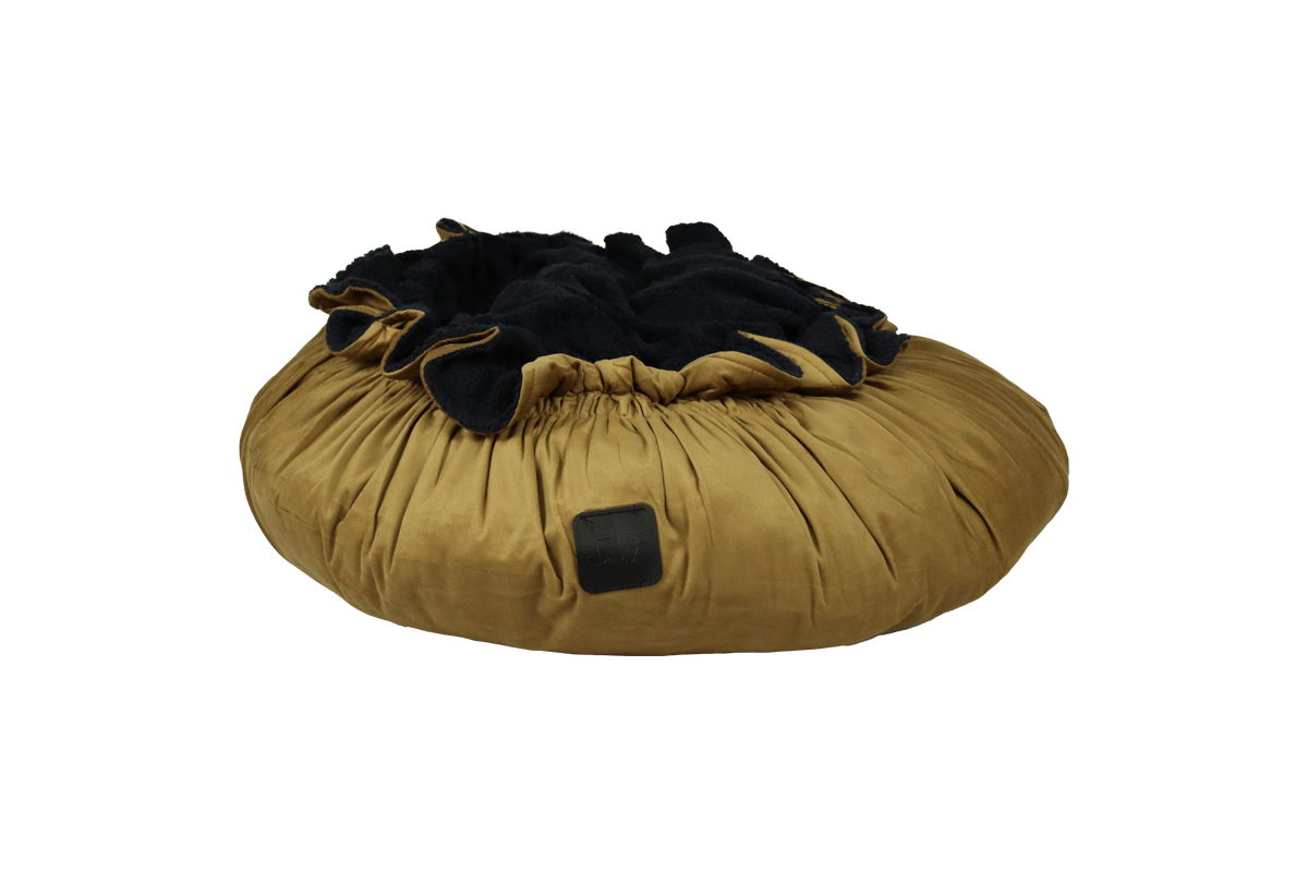 Cozy Camel S