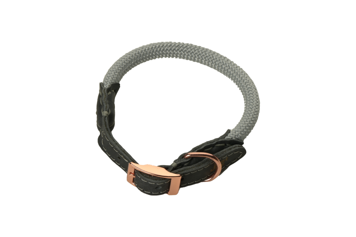 The DoggyWalker Halsband Silver Grey