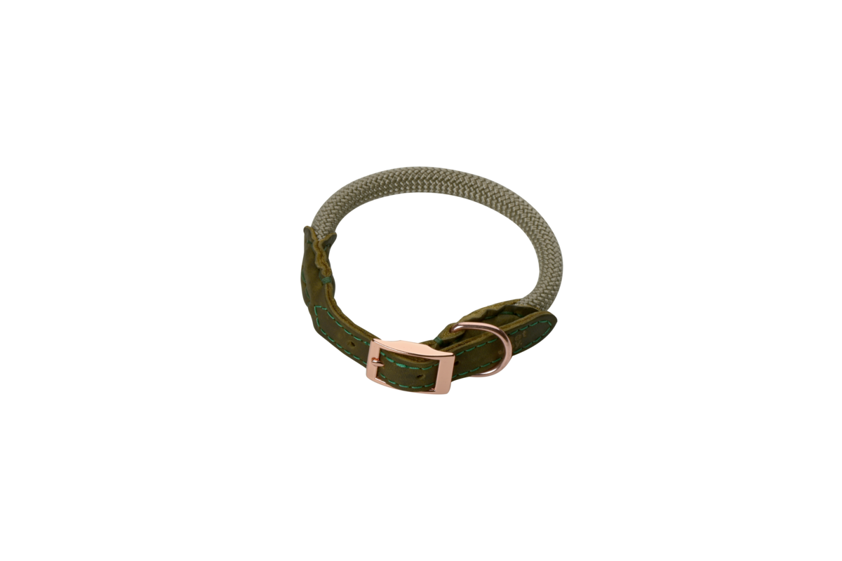 The DoggyWalker Collar Tan Green 50cm