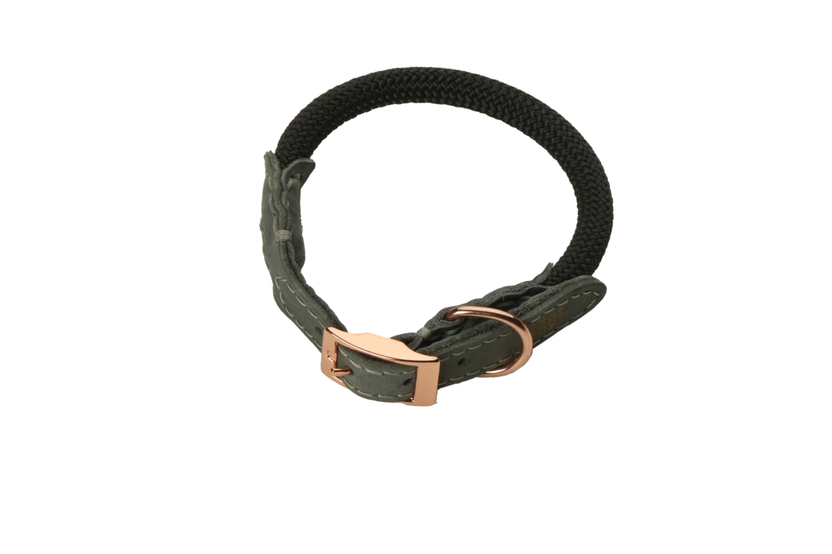 The DoggyWalker Halsband Dark Grey