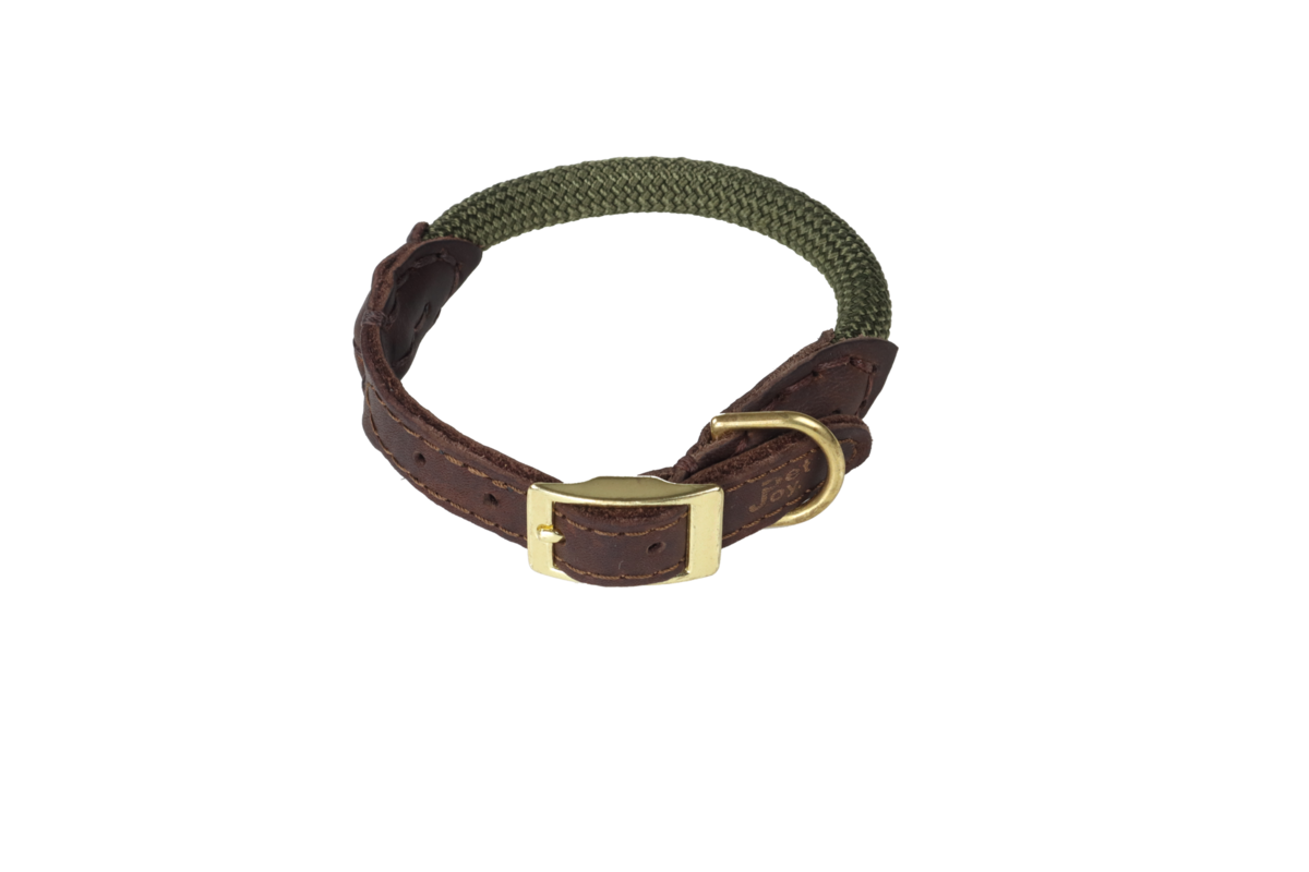 The DoggyWalker Collar Olive Green 50cm
