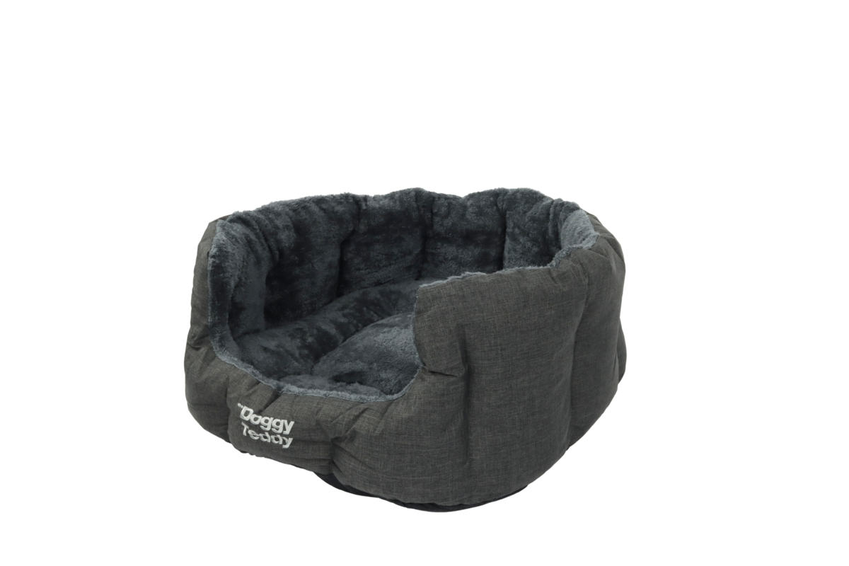 DoggyTeddy Strong Black