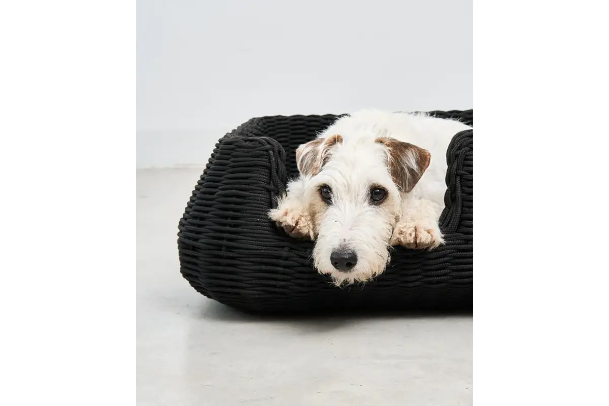 Cane Mio, Hundekorb, Anthrazit