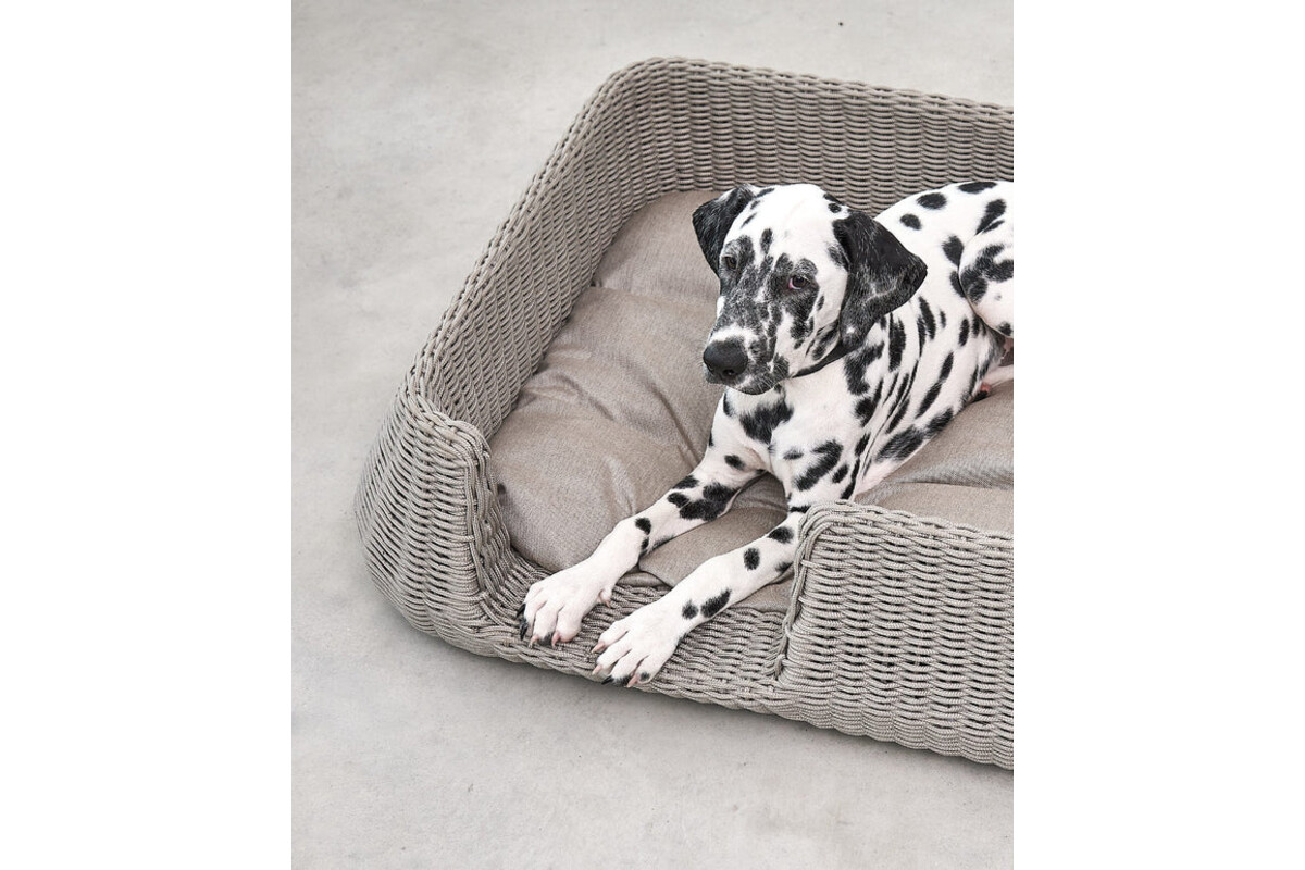Cane Mio, Hundekorb, Greige