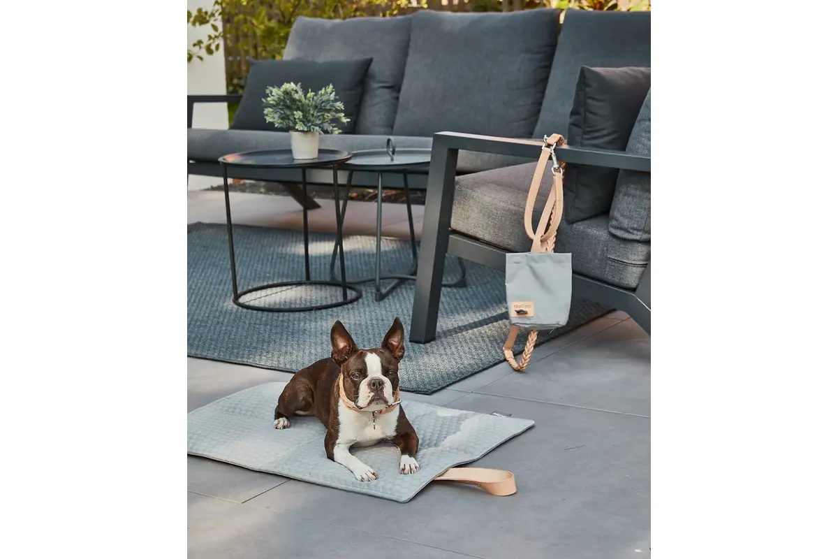 Cane Cosmo, travelBed, Concrete